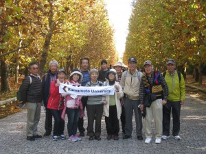 ⑤プラタナス並木通り