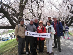 ⑧桜のトンネル2788