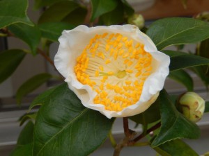 ➂13回 Hさん 満月 017