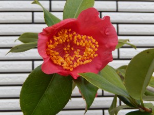 ①13回 Hさん 旭の湊 018