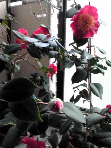 ⑮ 9回 Kさん20140329151625.3.29