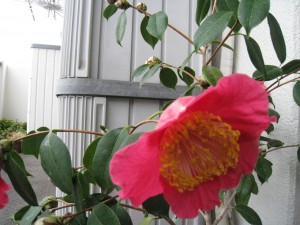 ⑨ 18回 Oさん0362.3.30