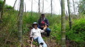 4_タケノコ掘り