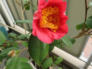 ⑨18回・Oさん太田IMG_0263