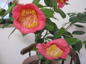 ⑩22回・Oさん岡本IMG_8193