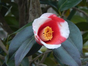 ⑲13回・Hさん萩尾・天が下078