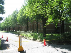 ⑭コーンIMG_2456