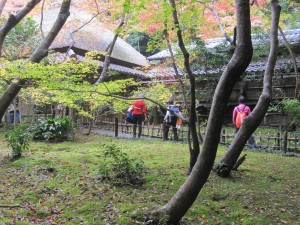 ⑧祇王寺IMG_8818