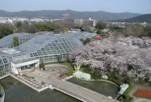 京都府立植物館 京都府立植物館
