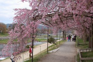 なからぎの道 なからぎの道