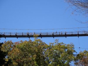 下から見た星のブランコ