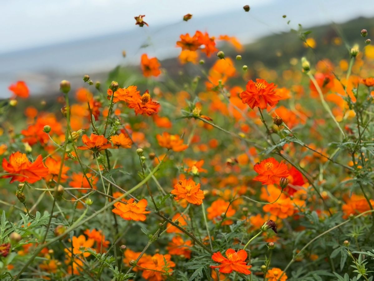 バスツアー写真2